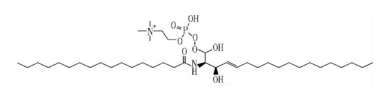 鞘磷脂分子结构