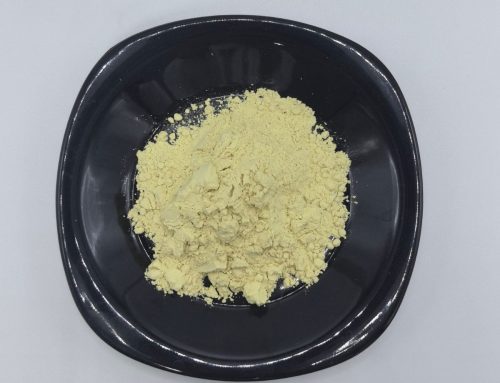 秦皮乙素